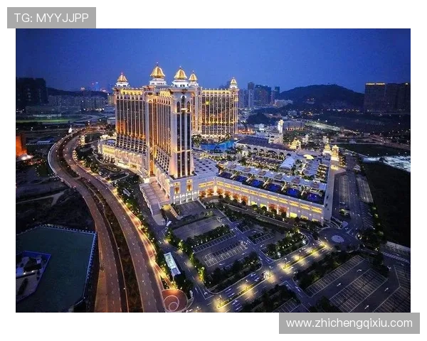 澳门新濠天地赌场VIP尊享服务全揭秘，尊贵体验尽在掌握之中